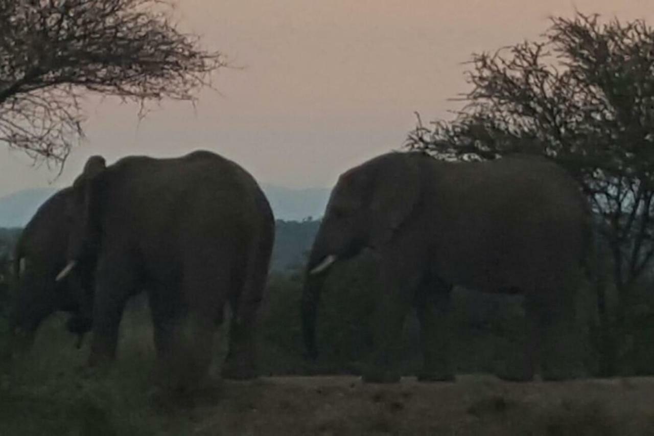 Вілла Kubu Khaya Mabalingwe Mabula Game Reserve Екстер'єр фото